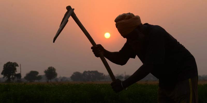 National Agriculture Code